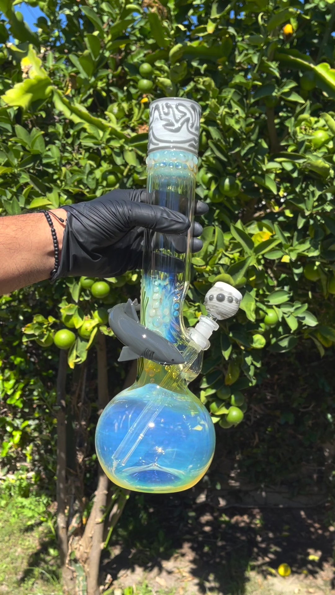 shark glass bong for sale